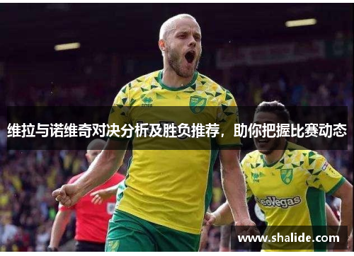 维拉与诺维奇对决分析及胜负推荐，助你把握比赛动态