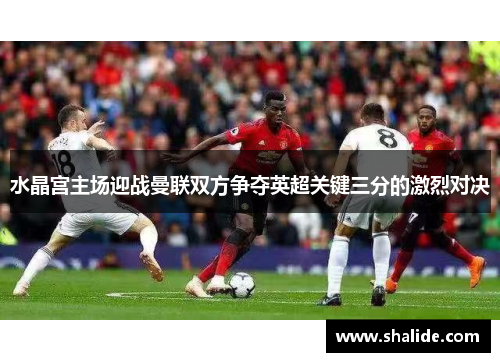 水晶宫主场迎战曼联双方争夺英超关键三分的激烈对决